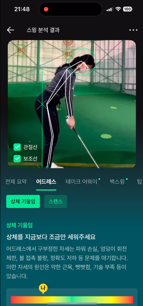 스윙 분석 (1)